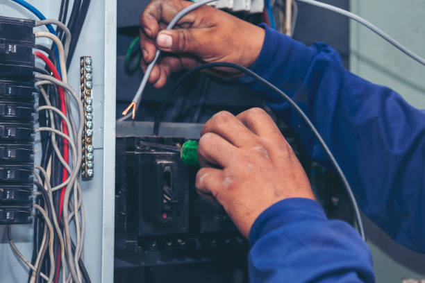 Best Electric Panel Repair  in Oceana, WV